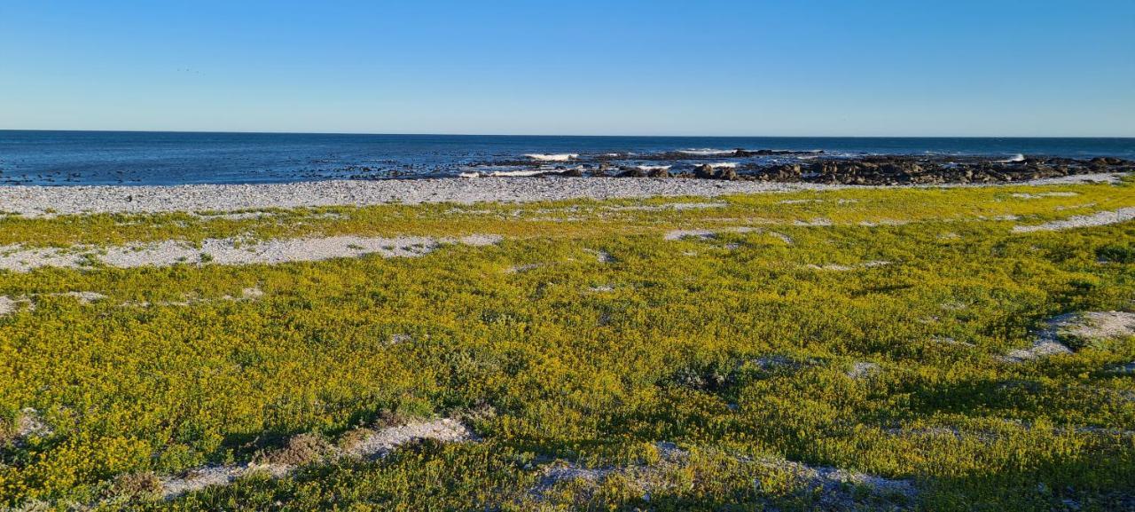 Oystercatcher Villa Сейнт Хелена Бей Екстериор снимка
